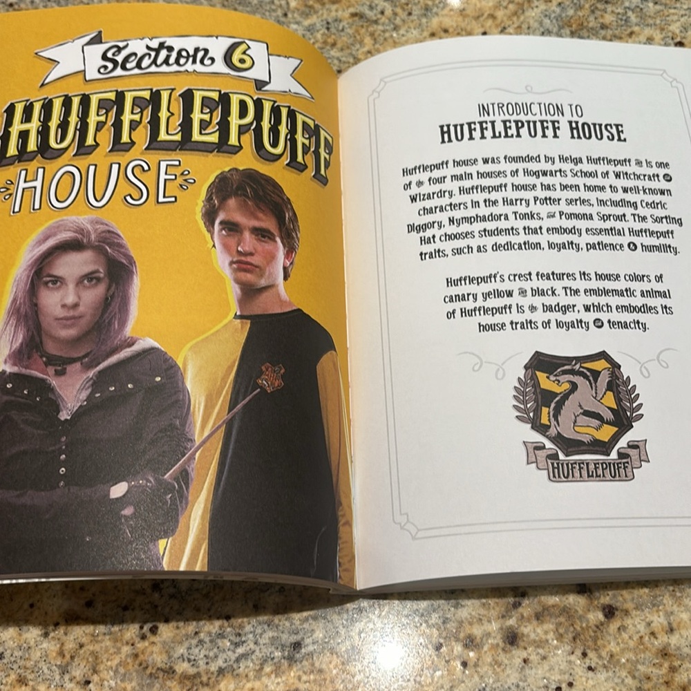 Harry Potter Hand Lettering How To book - Picture 5 of 5